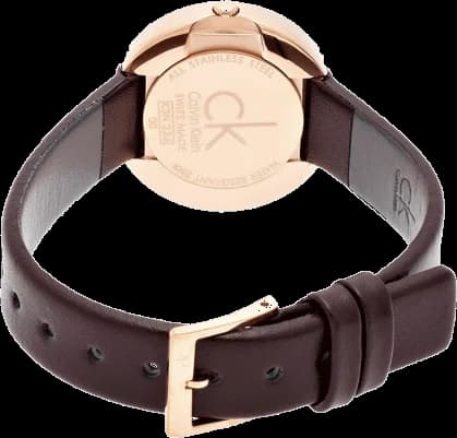 Montre Femme Calvin Klein K3N236G6 Bracelet Cuir Marron vue 3