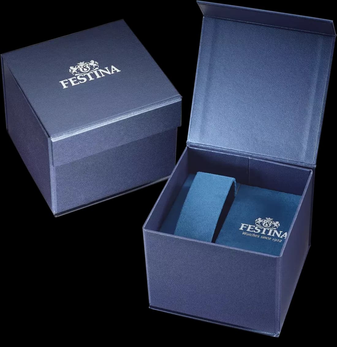 Montre Homme Festina F20444/2 Bracelet Cuir Bleu et Boîtier Acier vue 2