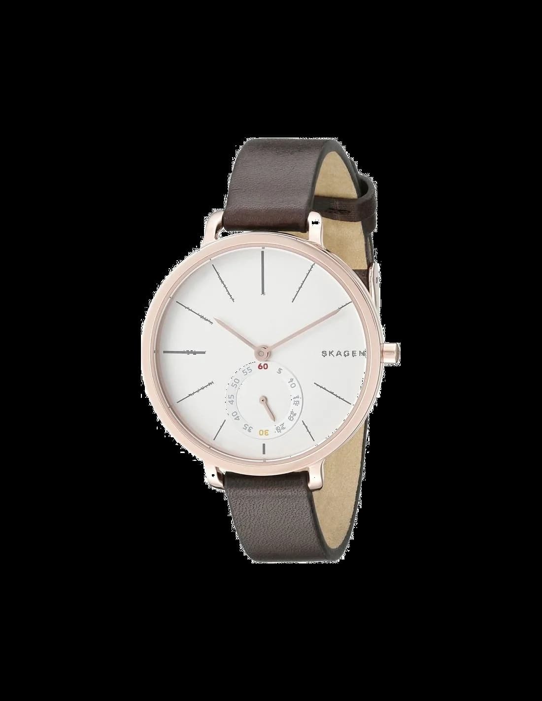 Montre Femme Skagen Hagen SKW2356 Marron