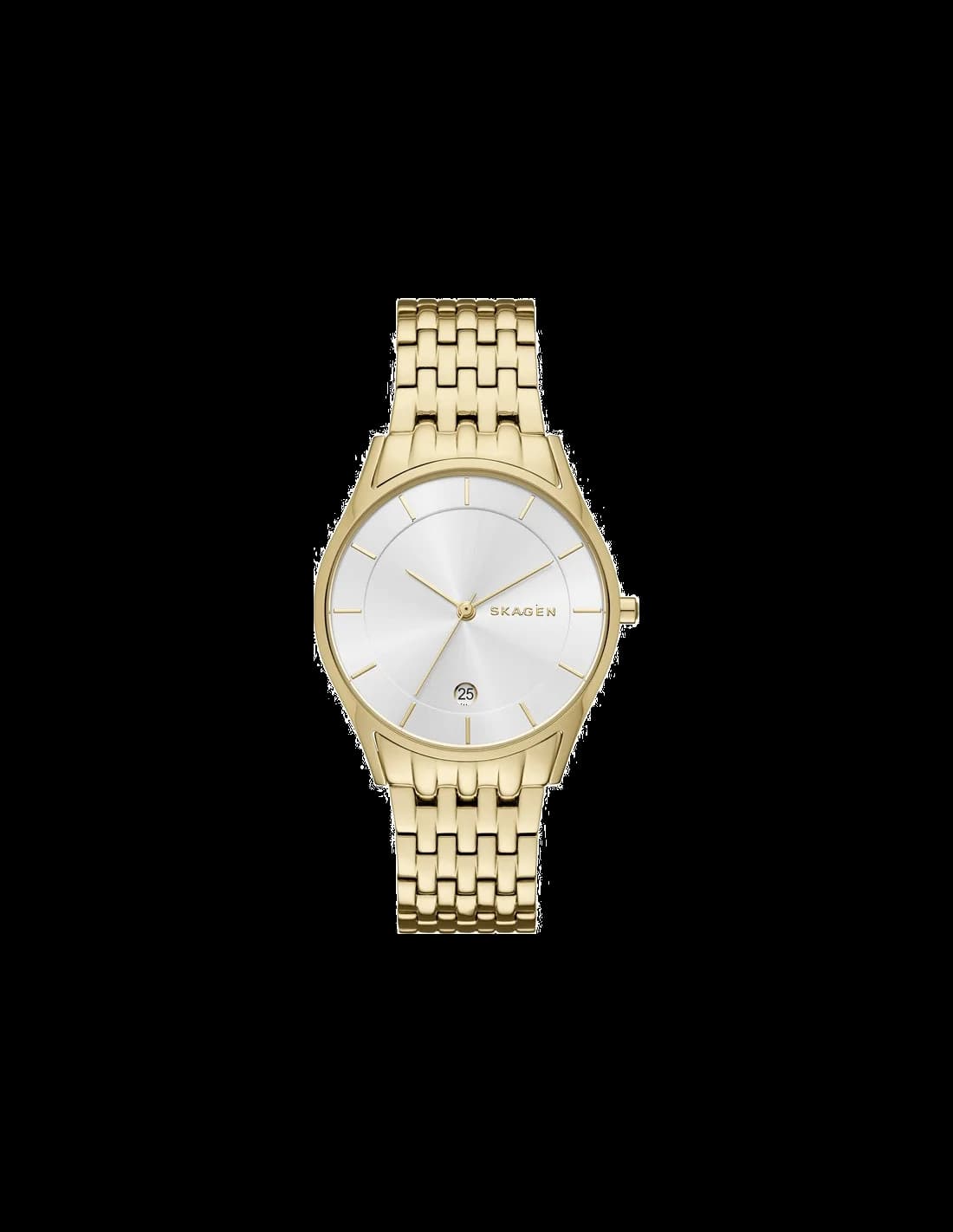 Montre Femme Skagen Holst SKW2389 Or
