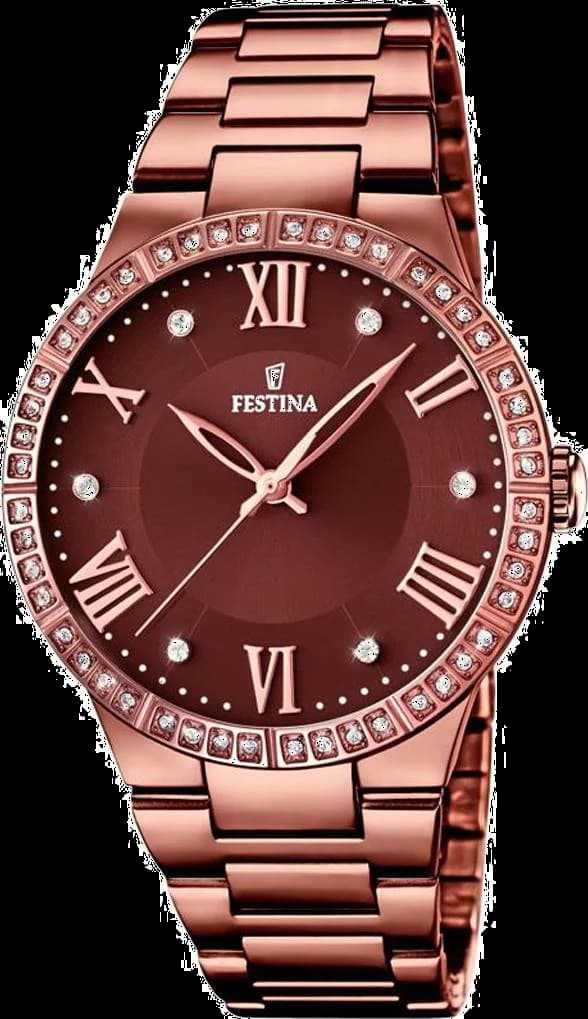 Montre Festina F16801/1 Bronze et Marron à Cadran Serti de Strass